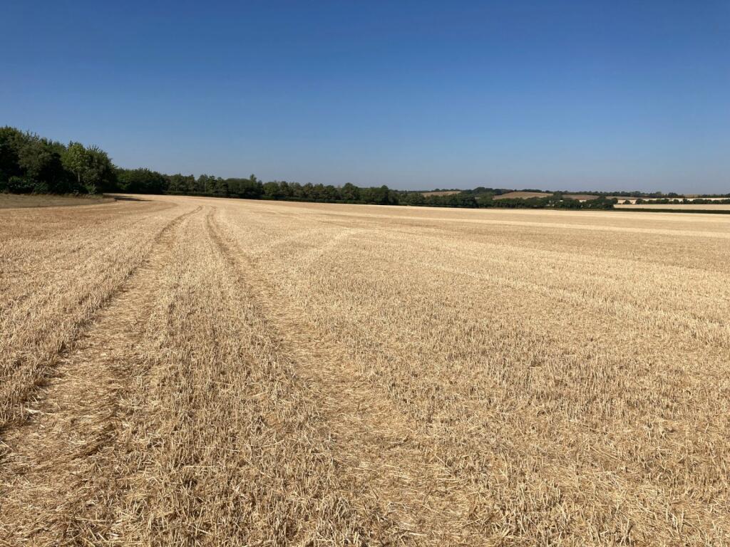 Main image of property: Land At West Wratting, Cambridge