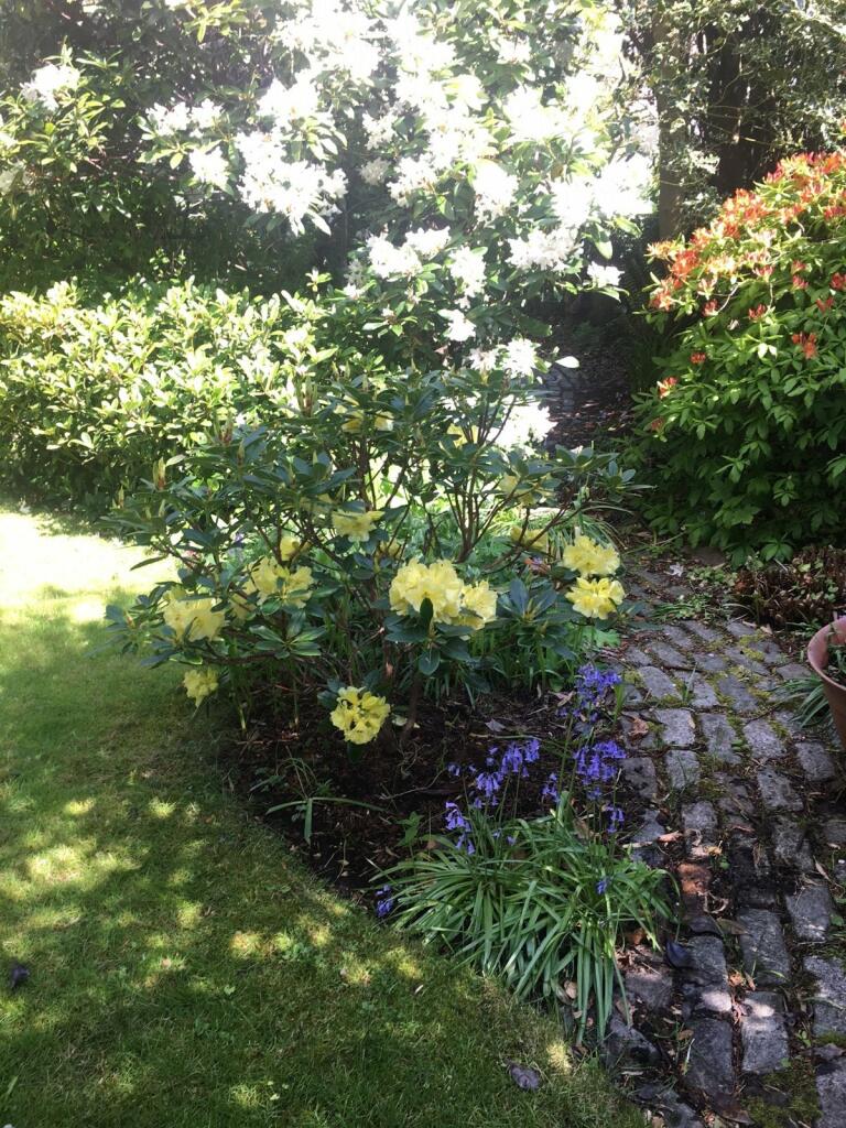 Additional property image - Polmuir Road, Aberdeen, Aberdeenshire