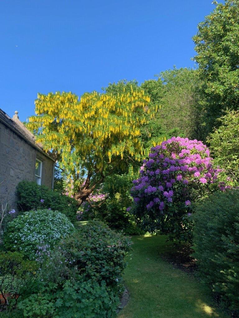 Additional property image - Polmuir Road, Aberdeen, Aberdeenshire