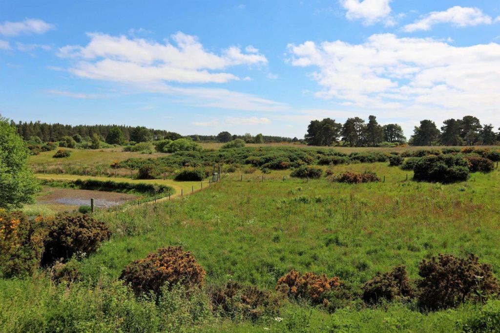 Land for sale in Trentham Farm Steading, Skelbo, Dornoch, Sutherland