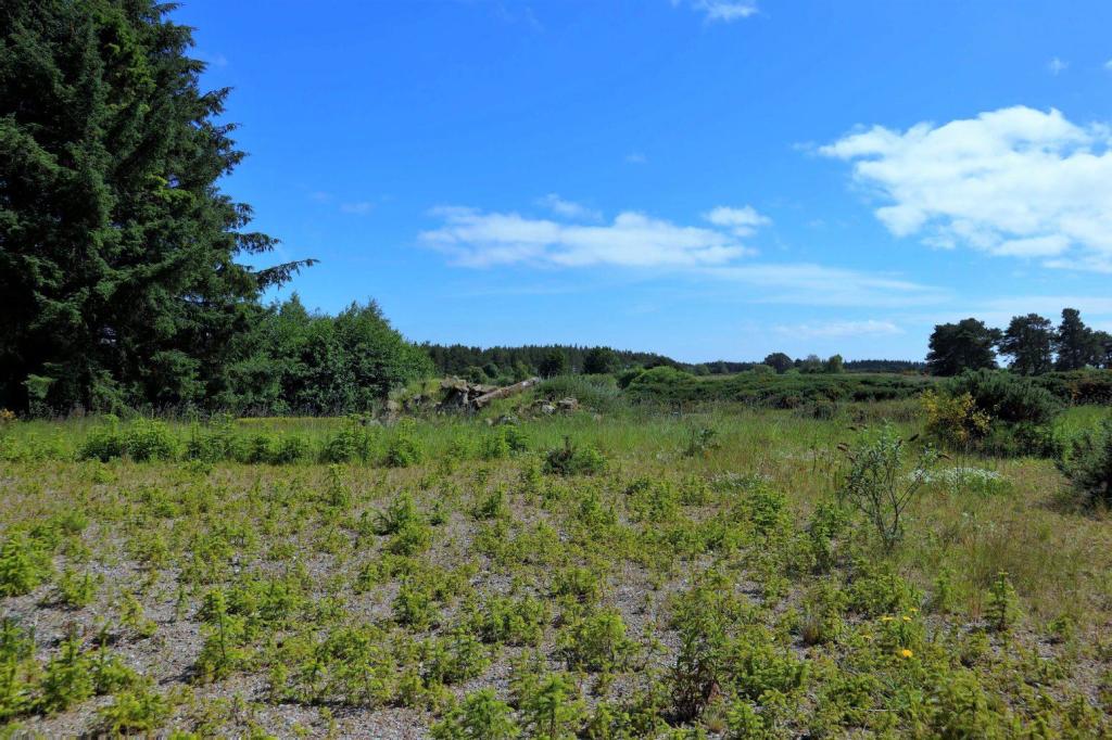 Land for sale in Trentham Farm Steading, Skelbo, Dornoch, Sutherland