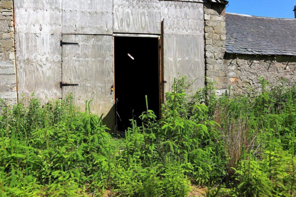 Land for sale in Trentham Farm Steading, Skelbo, Dornoch, Sutherland