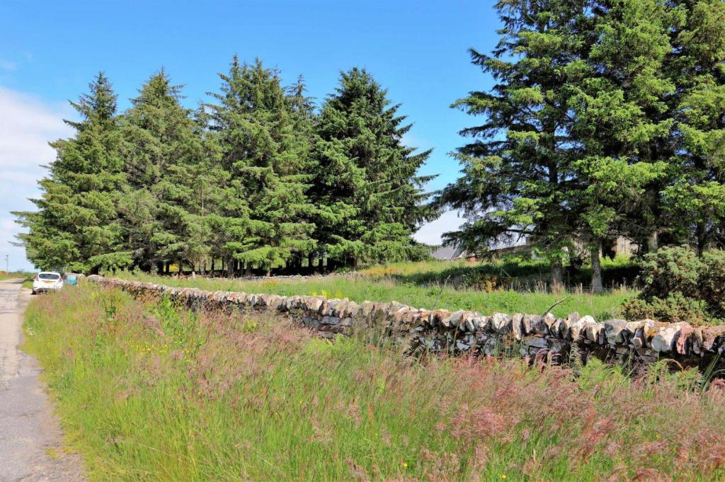 Land for sale in Trentham Farm Steading, Skelbo, Dornoch, Sutherland