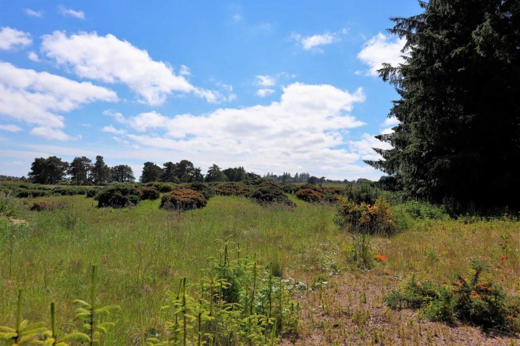 Land for sale in Trentham Farm Steading, Skelbo, Dornoch, Sutherland