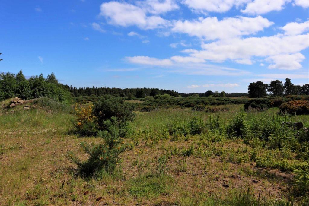 Land for sale in Trentham Farm Steading, Skelbo, Dornoch, Sutherland