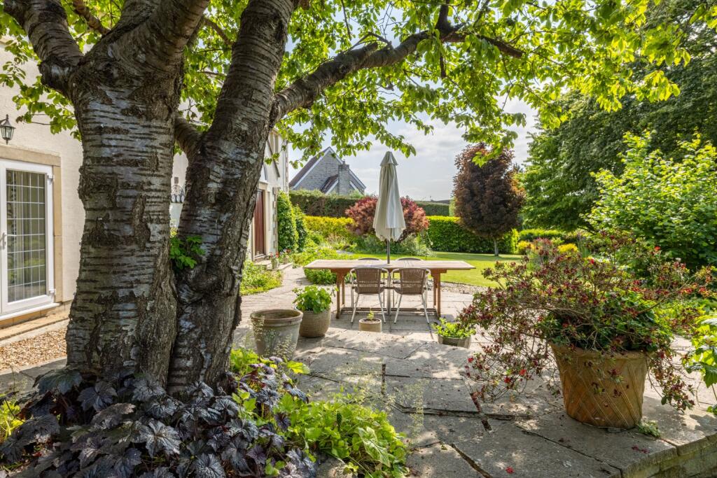 Additional property image - Baltonsborough, between Castle Cary and Glastonbury
