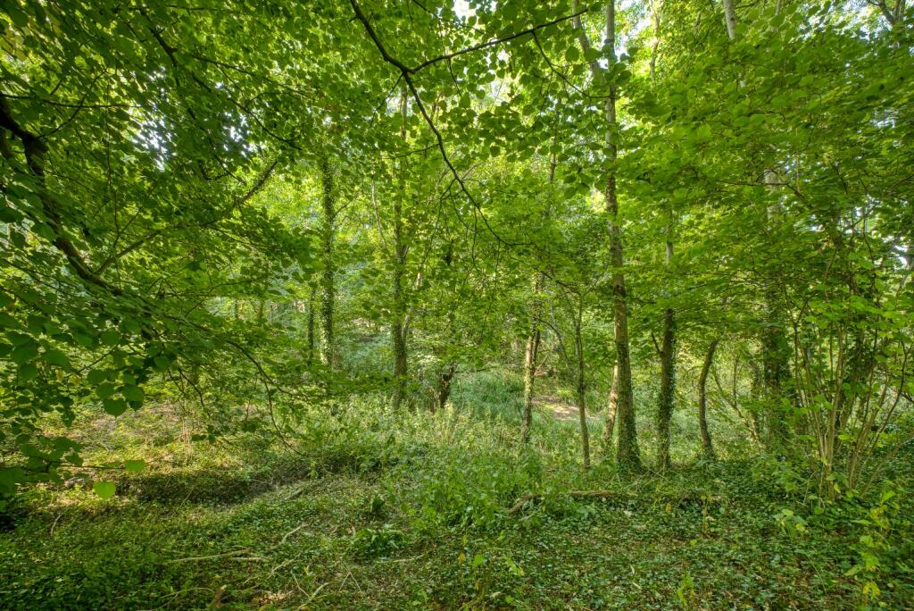 Additional image 32 of Manor house with 7 acres, near Wells