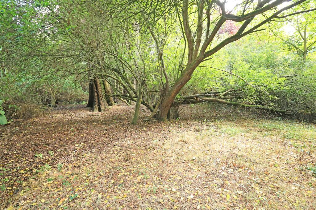Additional property image - Damases Lane, Boreham
