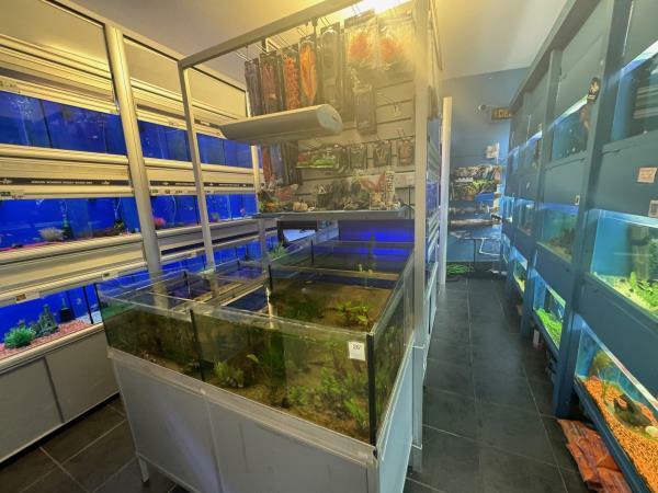 Additional property image - 140 BOROUGH ROAD, WALLASEY, MERSEYSIDE