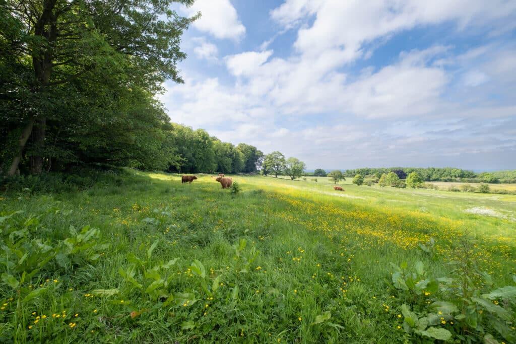 Additional property image - The Croft, The Ford, East Layton, Richmond, North Yorkshire