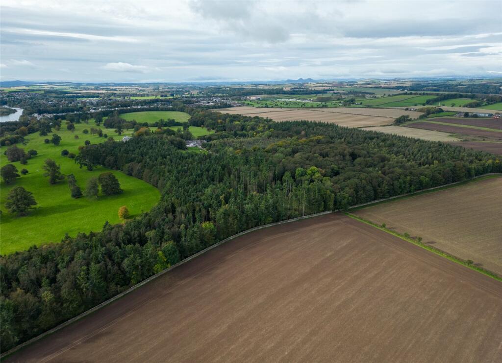 land-for-sale-in-amenity-woodland-tanlaw-wood-kelso-scottish-borders