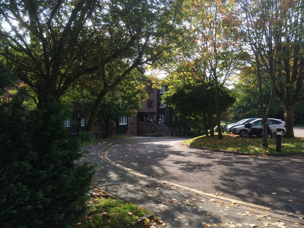 Main image of property: Steep Hill,Croydon,CR0