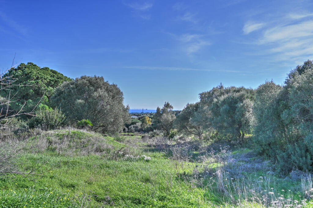 Main image of property: Andalucia, Cádiz, Sotogrande