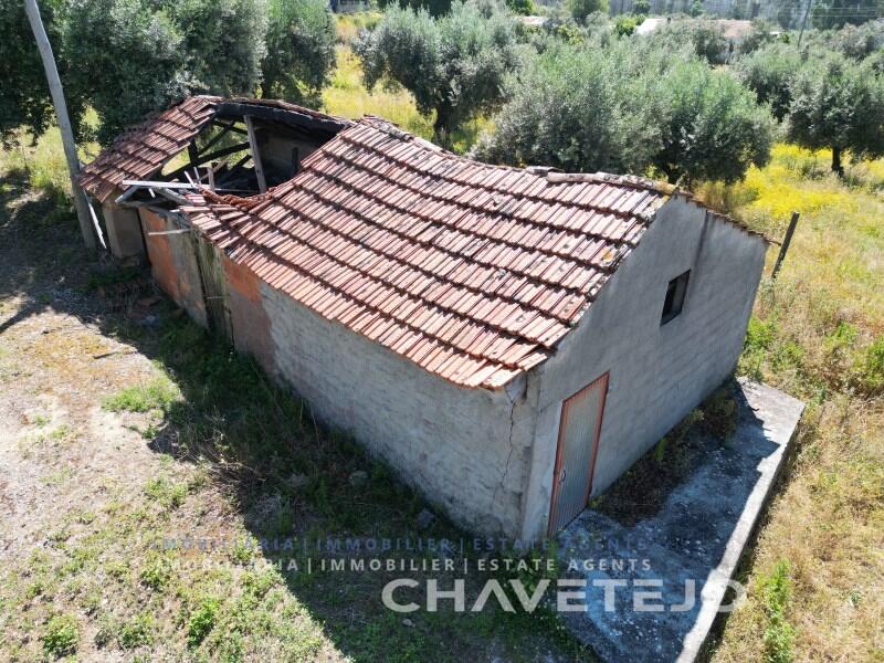 Main image of property: Ribatejo