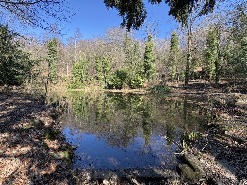 Main image of property: Fishing Pond and Amenity Woodland For Sale – Slaymaker Lane, Keighley, BD22 7EU