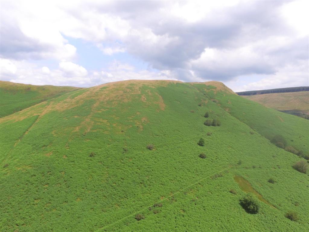 Farm land for sale in Rhandirmwyn, Llandovery, SA20