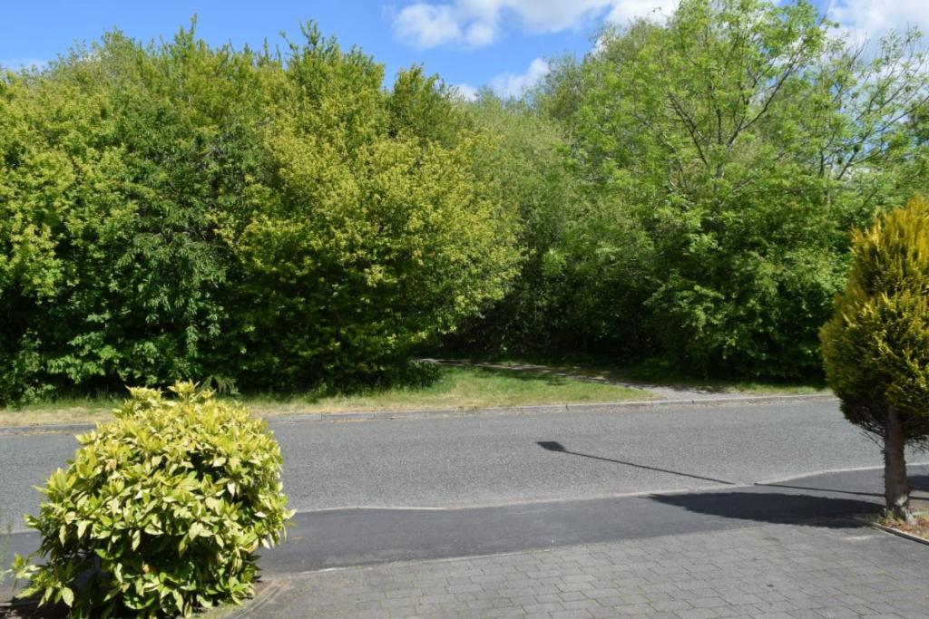 4 bedroom detached house for sale in Vincent Close, Old Hall