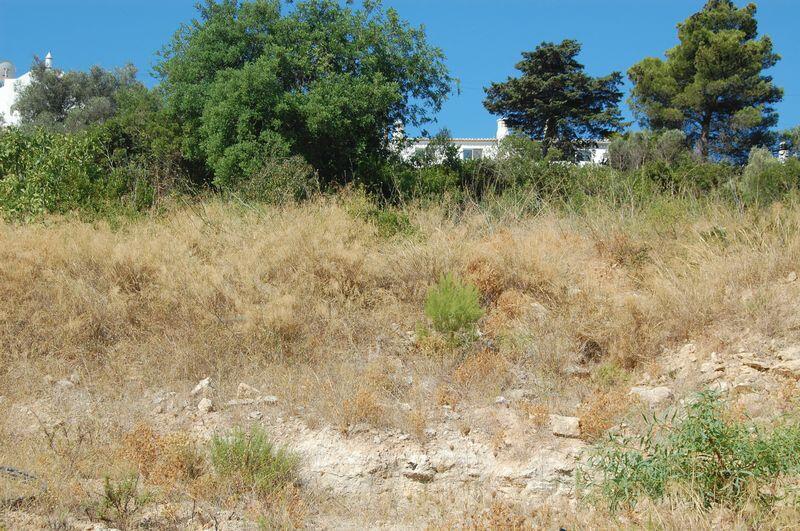 Main image of property: Carvoeiro, Algarve