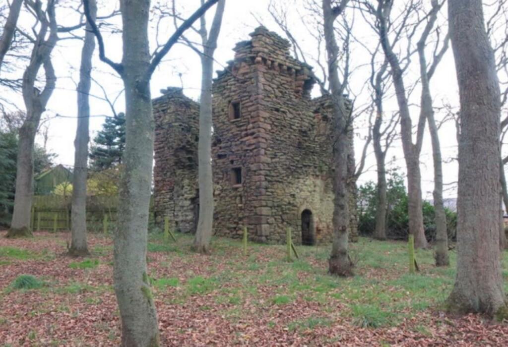 3 bedroom detached bungalow for sale in Cheviot Grange, Burradon