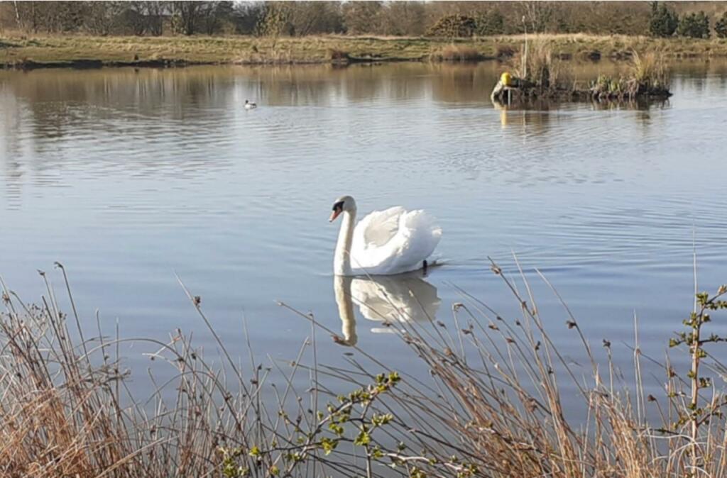 3 bedroom detached bungalow for sale in Cheviot Grange, Burradon