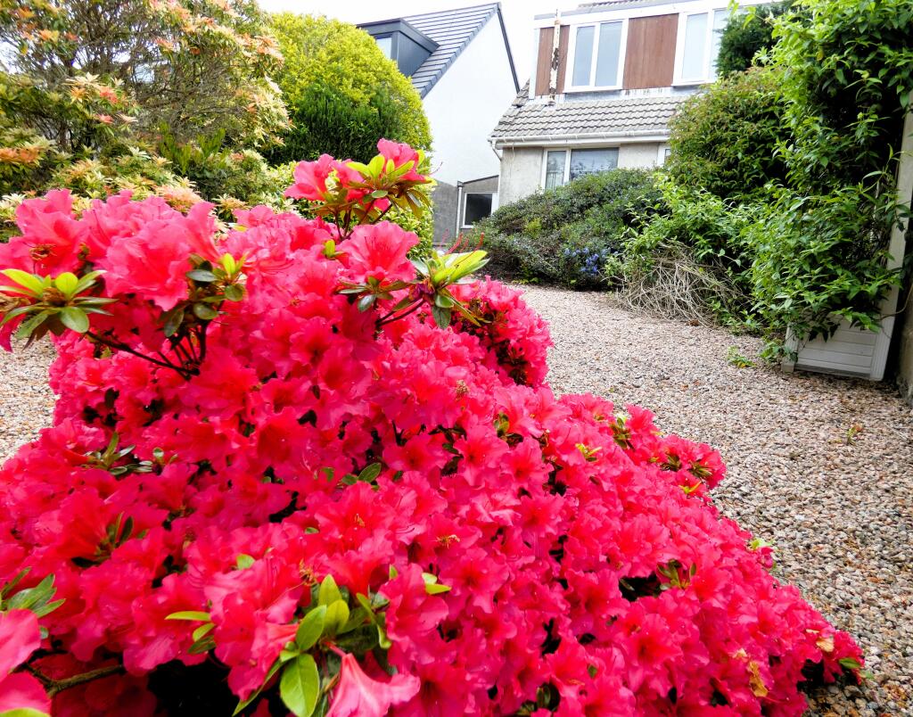 Additional property image - Craigton Road, Aberdeen, AB15