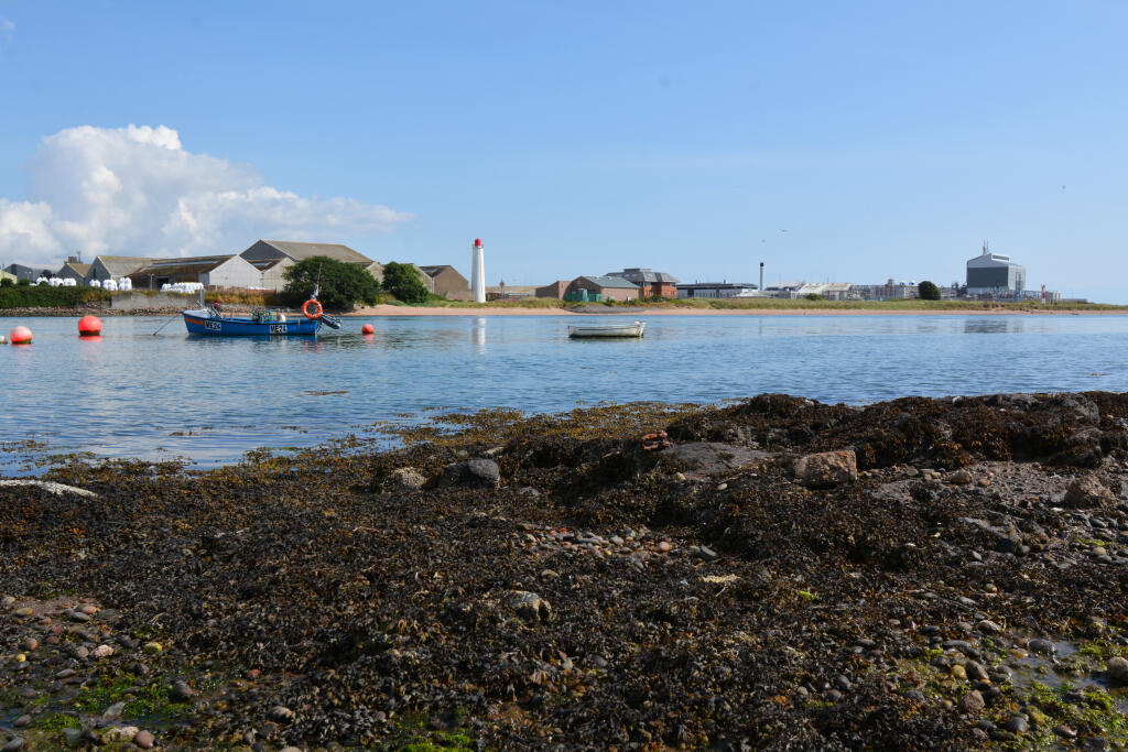 Additional property image - Bellevue Terrace, Ferryden, DD10
