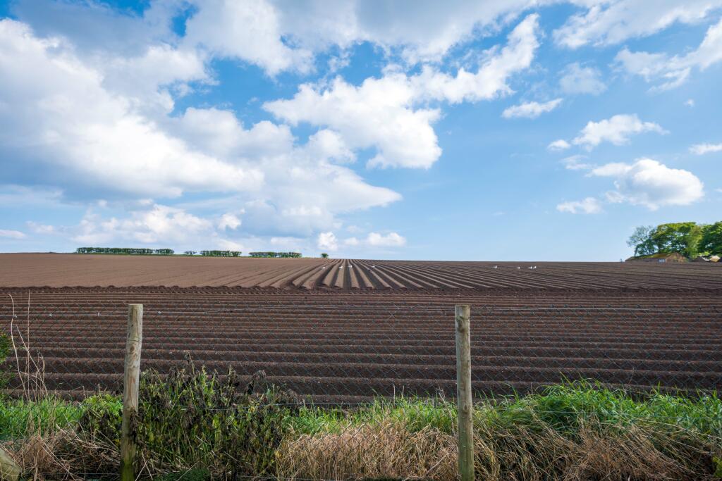 Additional property image - Bellevue Terrace, Ferryden, DD10
