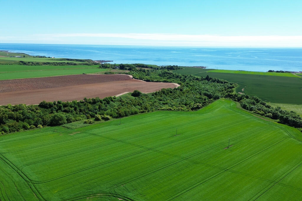 Additional property image - Bush, St Cyrus, DD10