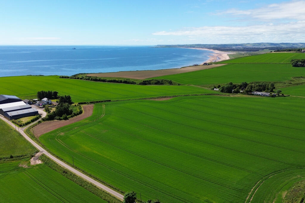 Additional property image - Bush, St Cyrus, DD10