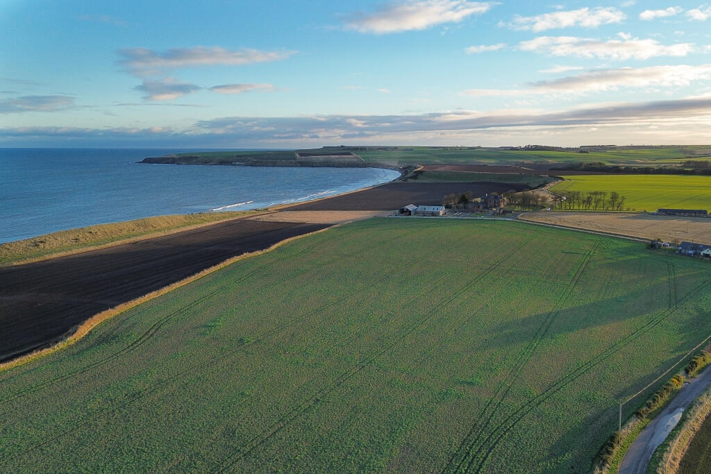 Additional property image - Redcastle, Arbroath, DD11