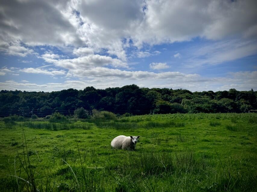 Additional image 5 of 2 Woodsleigh Coppice, Ladybridge Lane, Bolton, BL1 5XR