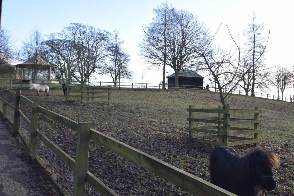 4 bedroom detached house for sale in Sheeprake Lane, Bridlington, East