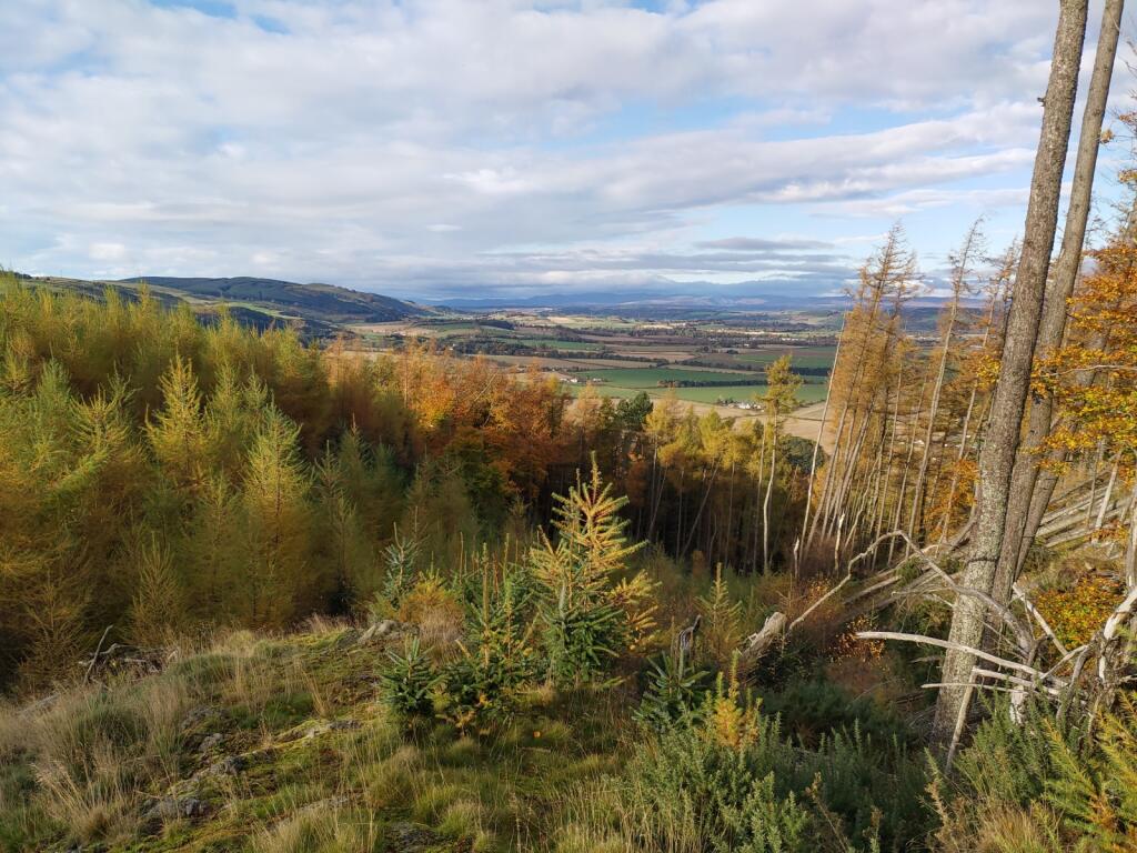 Land for sale in Ayton Woodlands, Aberargie, Perth, PH2