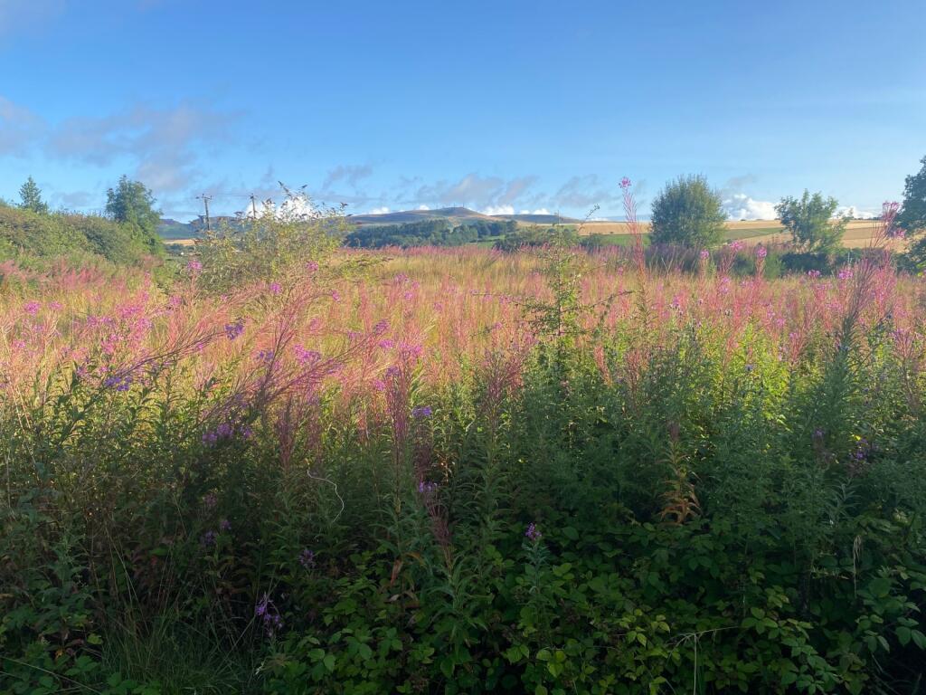 Additional property image - Baldragon Farm Development Site, Logan Crescent, Dundee, Angus, DD3