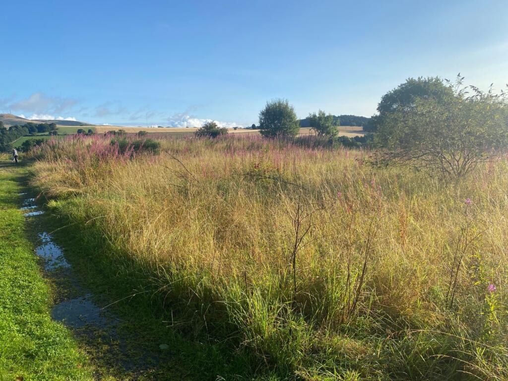 Additional property image - Baldragon Farm Development Site, Logan Crescent, Dundee, Angus, DD3