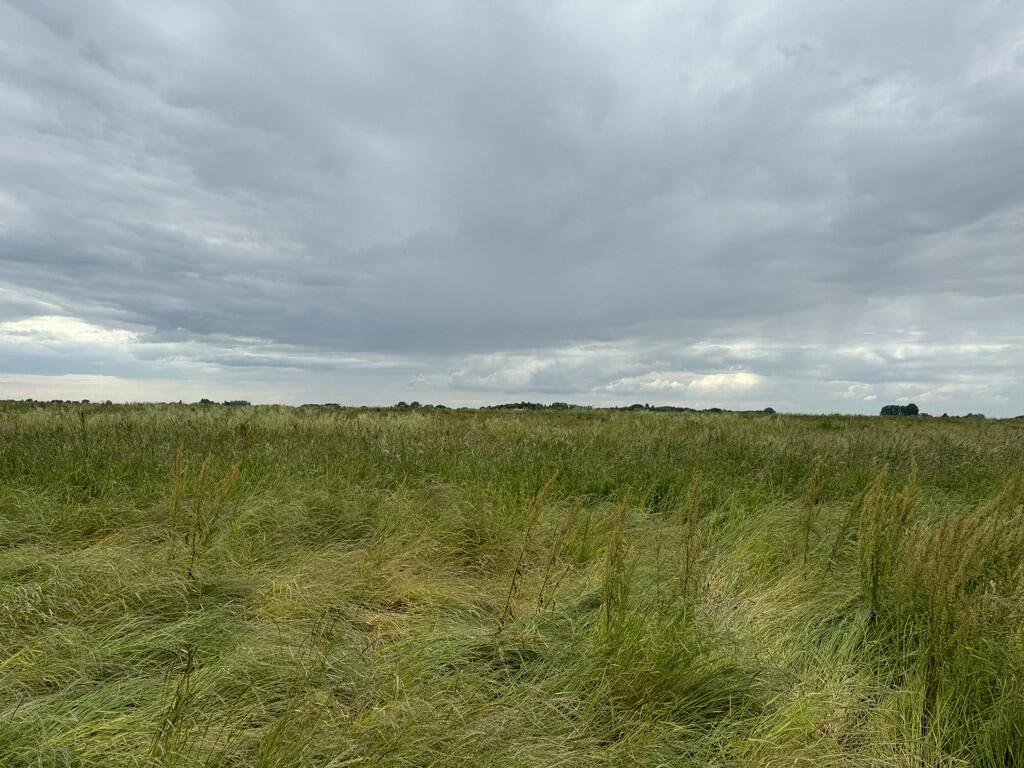 Main image of property: Seadyke Bank, Wisbech St. Mary, Wisbech