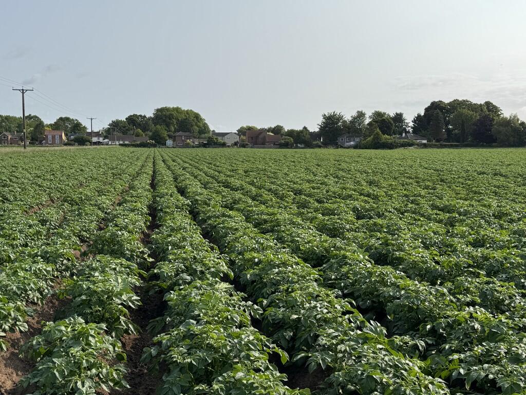 Main image of property: Hurn Road, Holbeach Hurn, Spalding