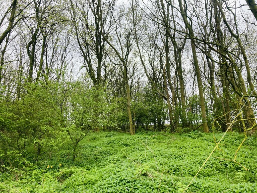 Land for sale in Ellington, Morpeth, Northumberland, NE61