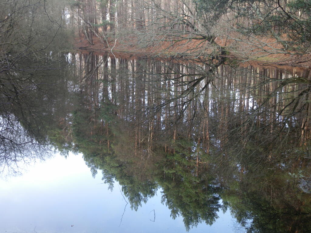 Land for sale in Cobham, Surrey, KT11