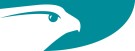 Falcon Properties, Plymouth Estate Agent Logo