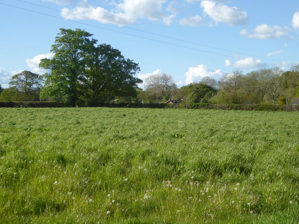 Land for sale in Edgerley, Oswestry, SY10