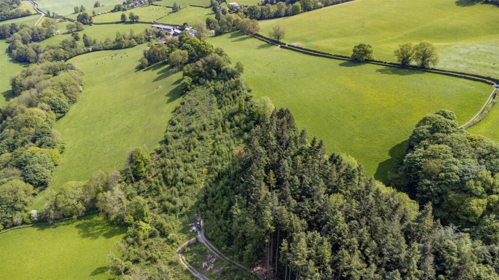 Main image of property: Woodland At Llwyn Y Gelli