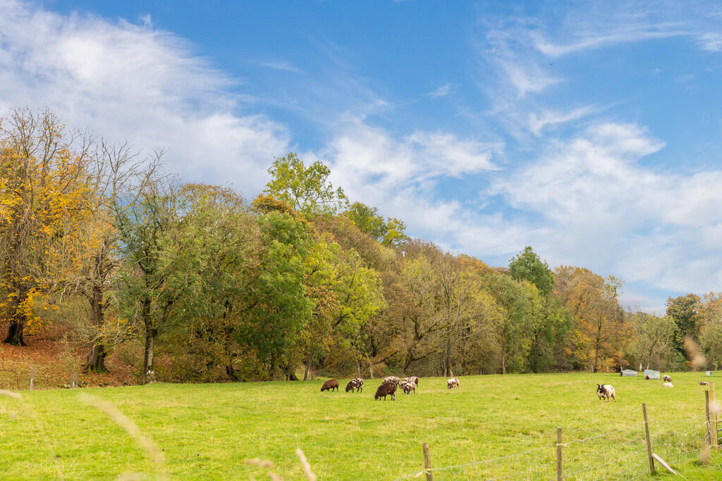 Additional property image - 16 Stoneworks Garth, Crosby Ravensworth, Penrith, Cumbria, CA10 3JE