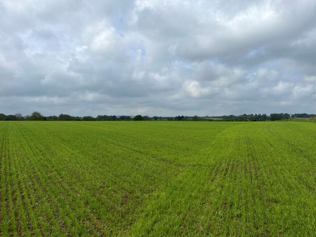 Farm land for sale in Lot 4 8.17 Acres (3.31 Ha) Approx between the
