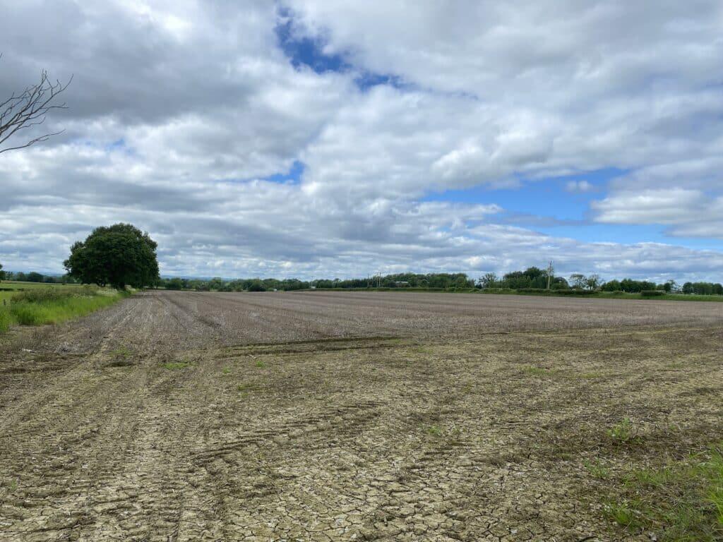 Farm land for sale in 10.2 Acres between Thrintoft & Yafforth