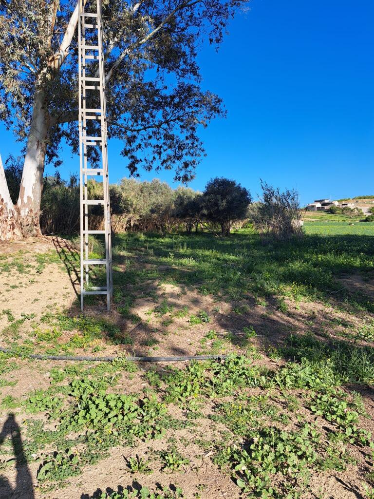 Main image of property: Andalucia, Malaga, Cártama