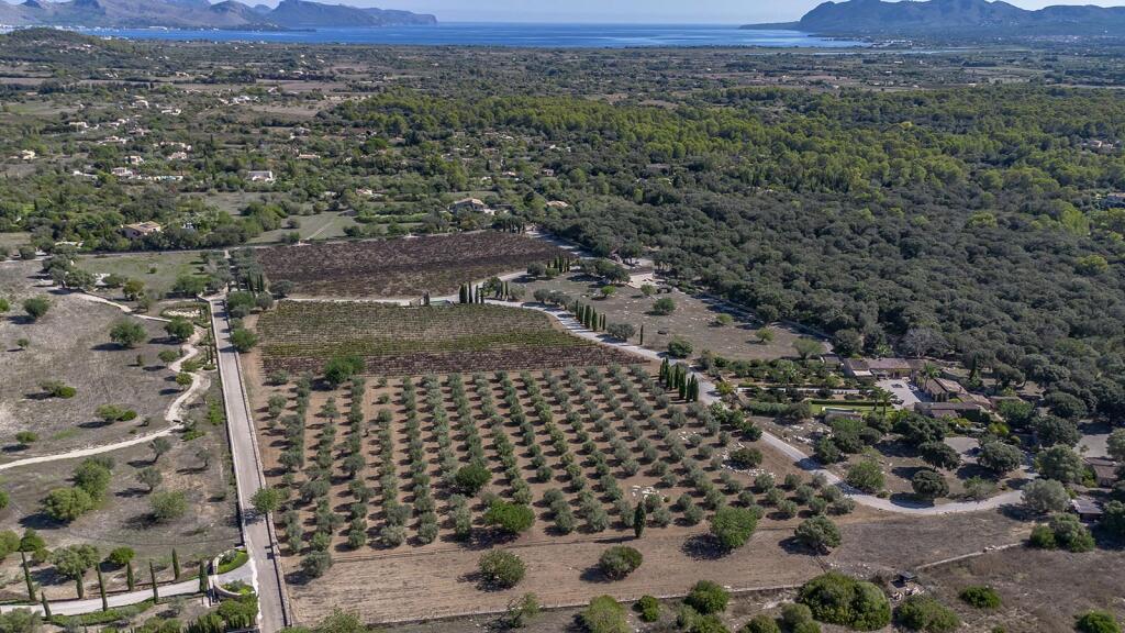 Main image of property: Balearic Islands, Mallorca, Pollensa