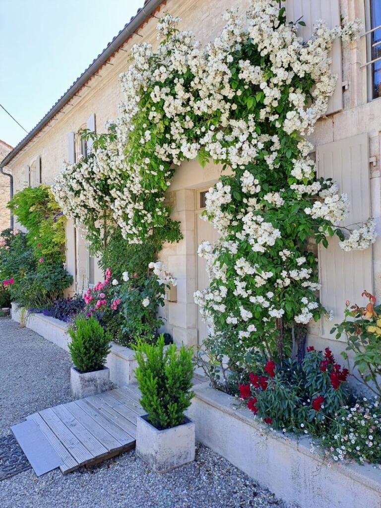 Main image of property: Poitou-Charentes, Charente, Mérignac
