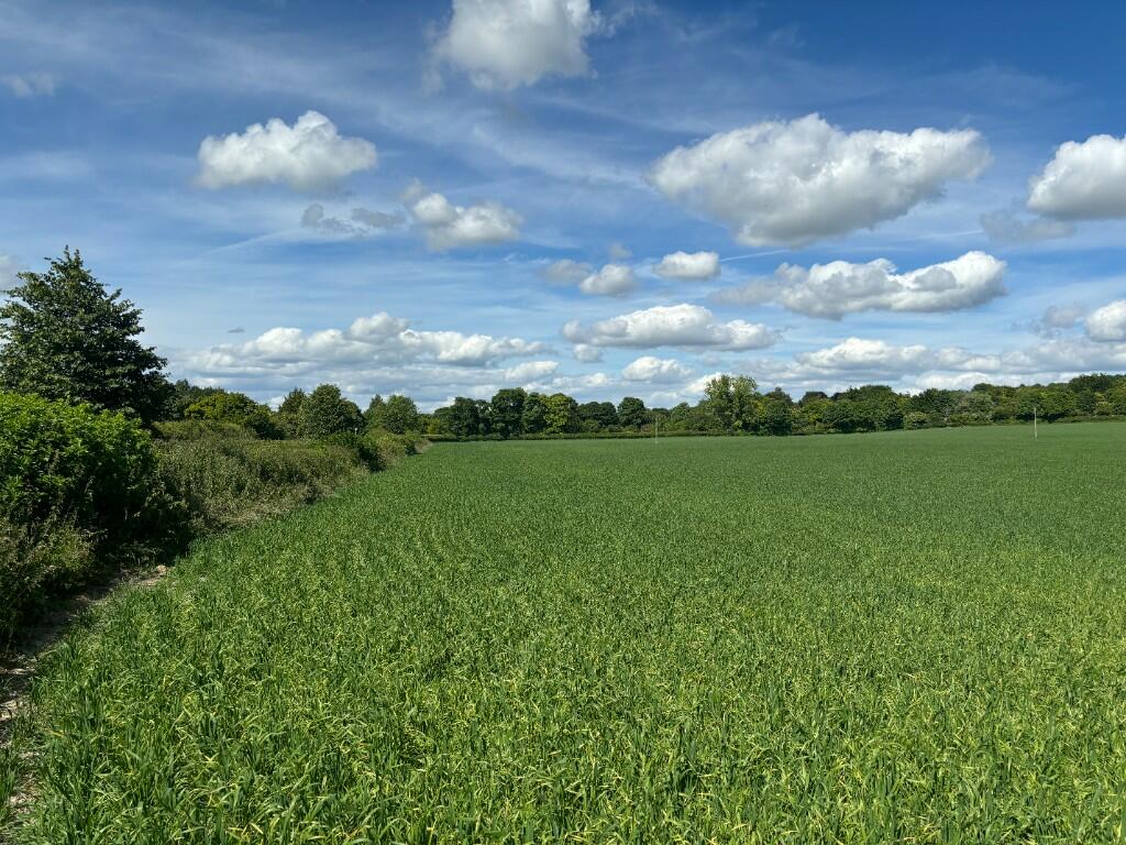 Main image of property: Land at the Holloway, Monks Risborough, Buckinghamshire
