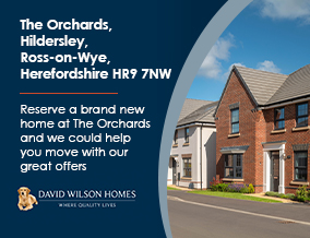 Get brand editions for David Wilson South Wales